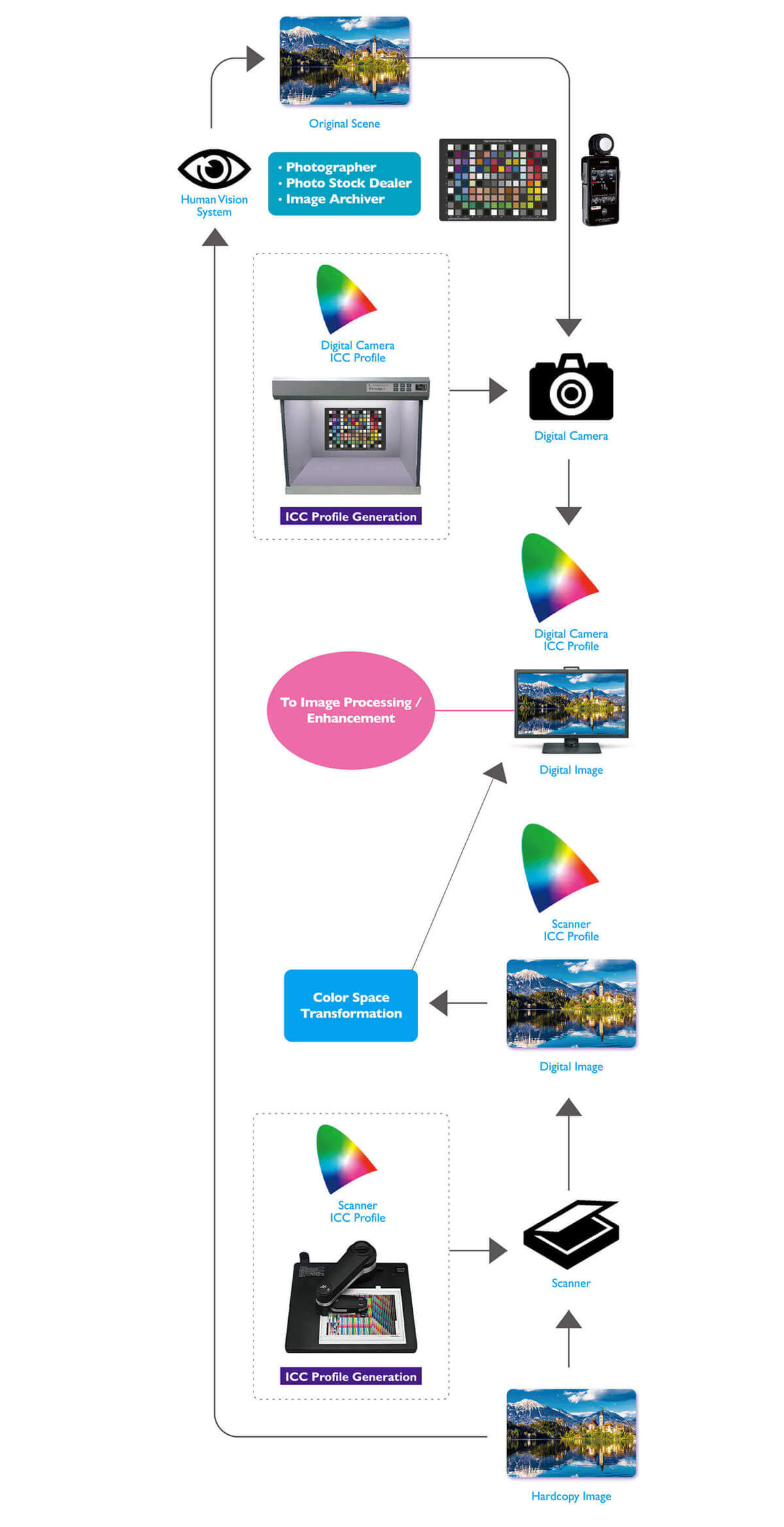 Typical photographer’s colour management workflow.