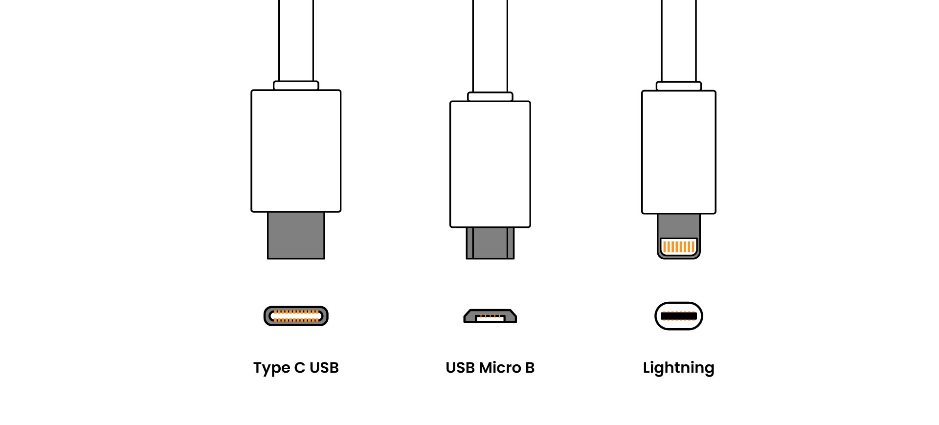 Simple distinctions in the physical appearance of USB-C, Micro USB, and Lightning