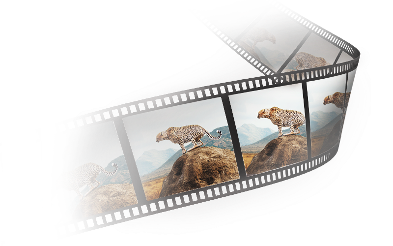 BenQ Videoformátum támogatás Videó előnézete leskálázás vagy torzítás nélkül. Az SW271C  támogatja a 24P/25P filmtartalmat, amely natív ütemben jelenik meg a zökkenőmentes megjelenítés érdekében.