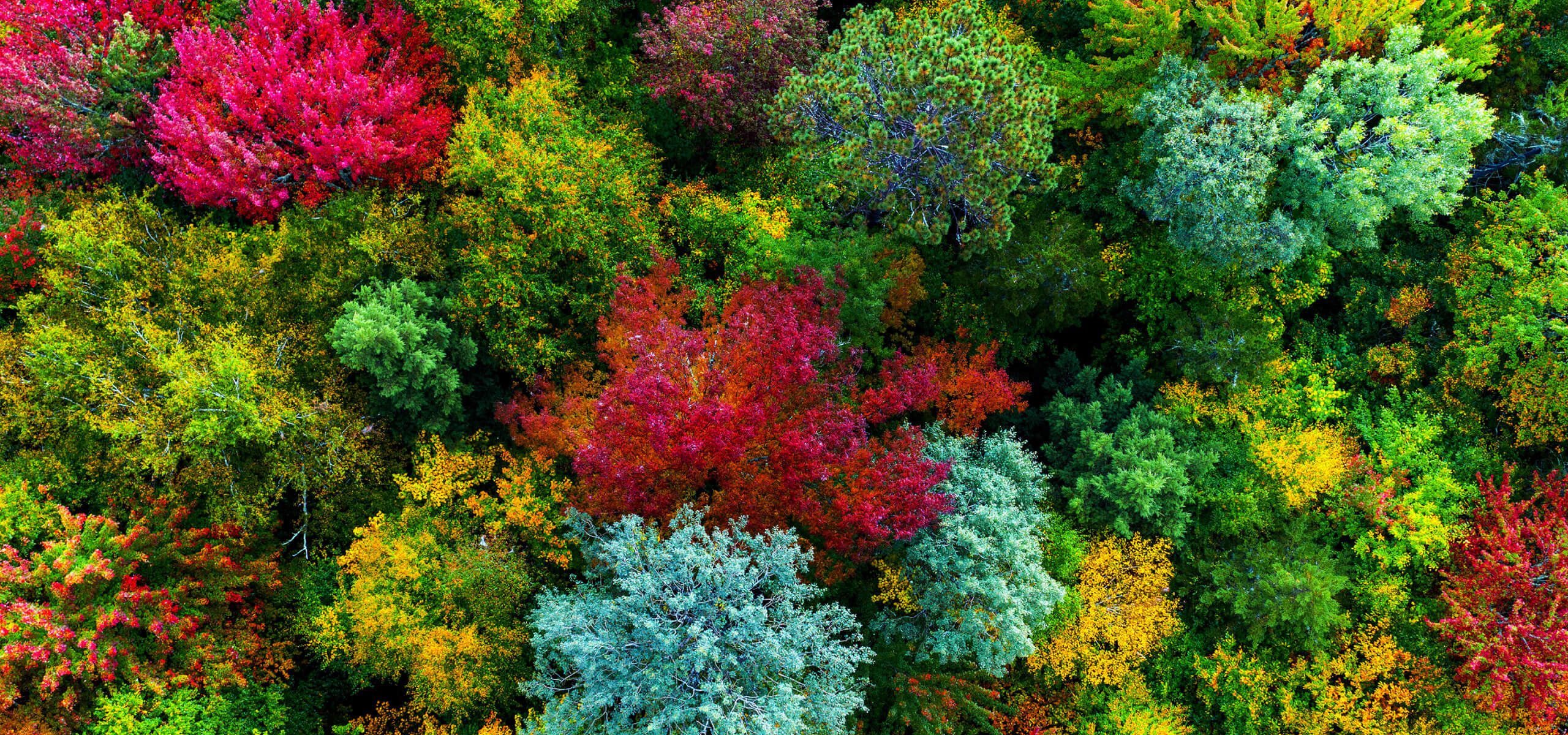  BenQ W2720i Home Cinema Projector, featuring BenQ CinematicColor technology. It accurately covers 90% DCI-P3 and 98% Rec.709 color spaces