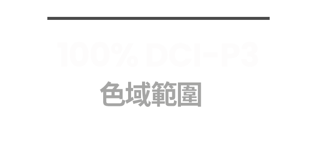 100% DCI-P3  色域範圍