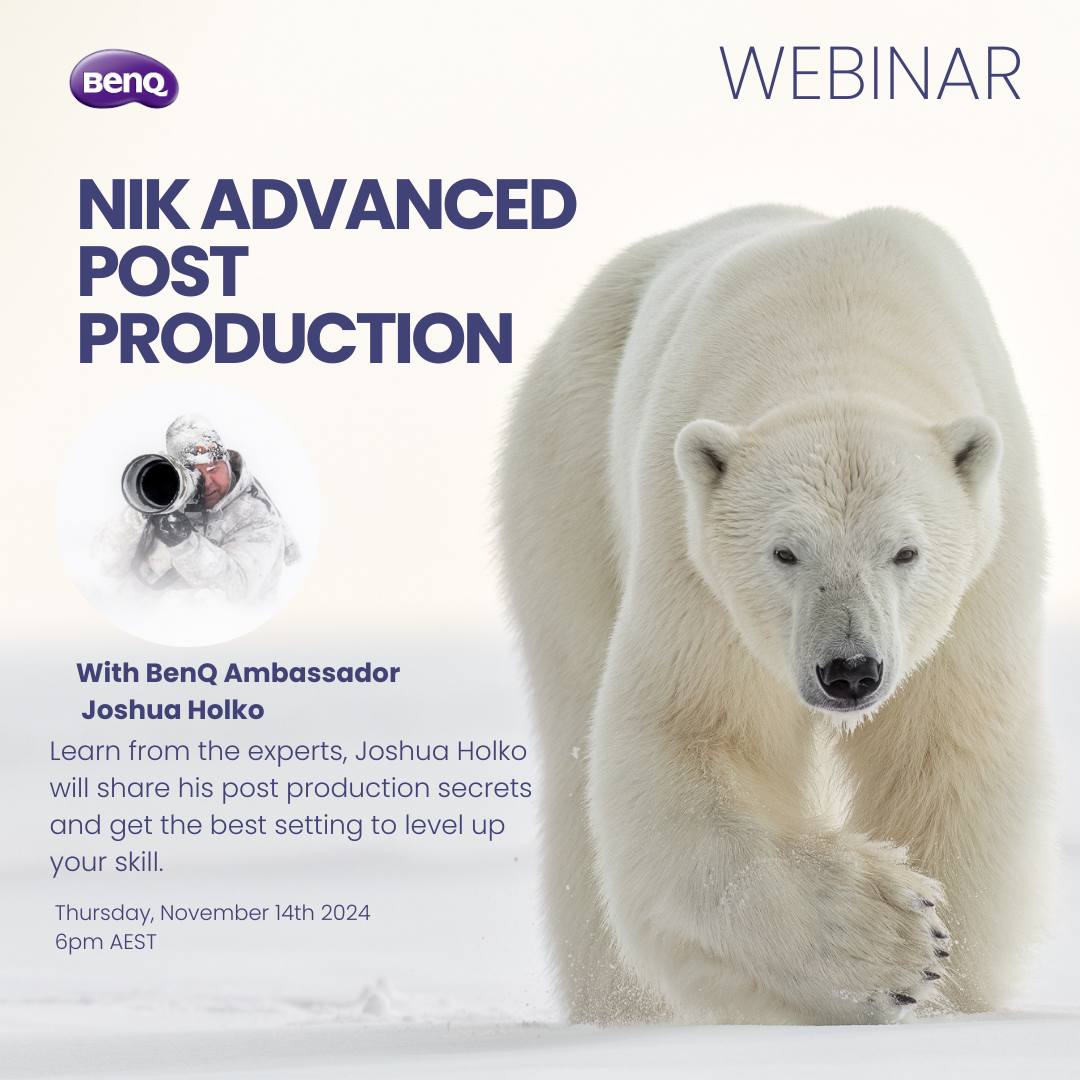 2024 Q4 Webinars - webinar-joshua-14nov