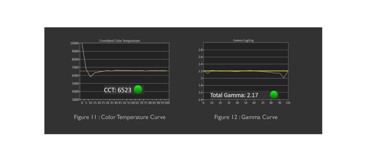 CalMAN shows the color temperature and gamma curve.