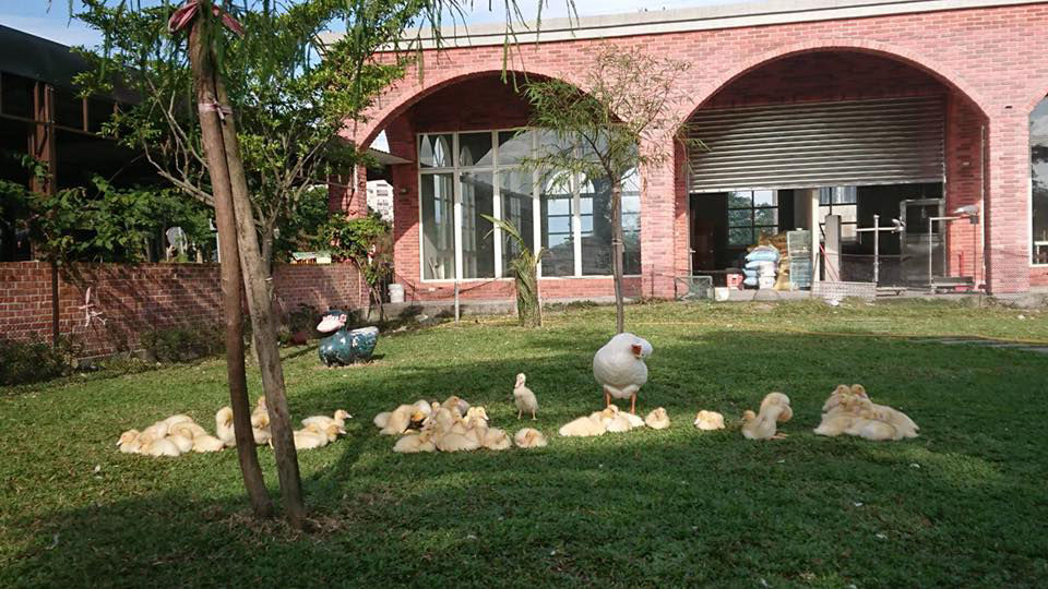 走春景點_鴨寮故事館