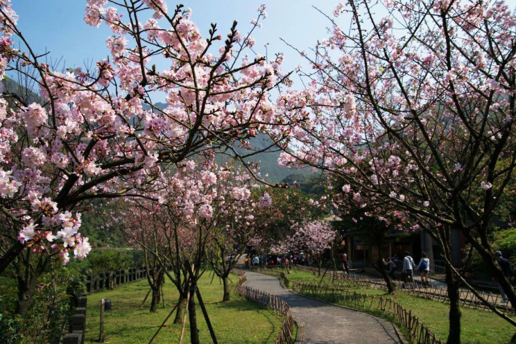 走春景點_新竹天元宮